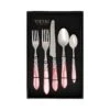 Aladdin Brilliant Light Pink Five-Piece Place Setting – Set Of 4