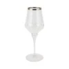 Contessa Platinum Water Glass
